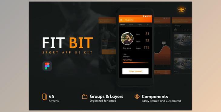 FIT BIT Sport UI Kit CreativeMarket-2338428 (ZIP, PNG)