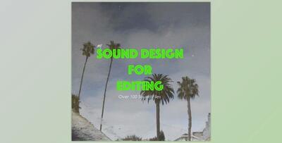 Daniel John Peters – SOUND DESIGN FOR EDITING (WAV)