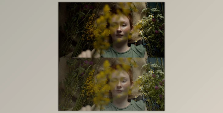 Lightroom Presets Premium Film Emulation