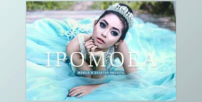 Ipomoea Pro Lightroom Presets CreativeMarket - 7039555