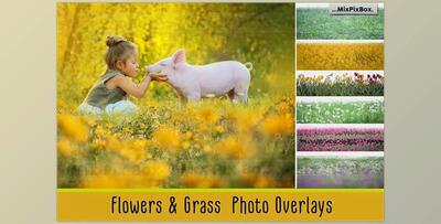 Flowers and Grass Overlays CreativeMarket - 6120187