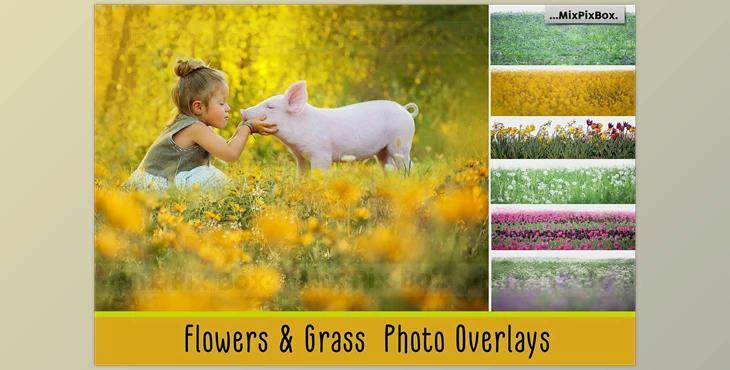 Flowers and Grass Overlays CreativeMarket - 6120187