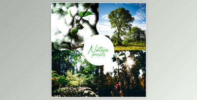 Professional Nature Lightroom Preset (Mobile & Desktop) By Rtvrecord