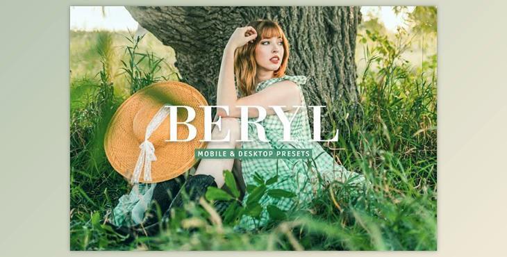 Beryl Pro Lightroom Presets CreativeMarket - 10243234