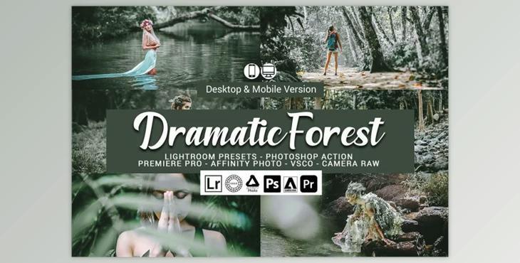 Dramatic Forest Presets By DreamColor