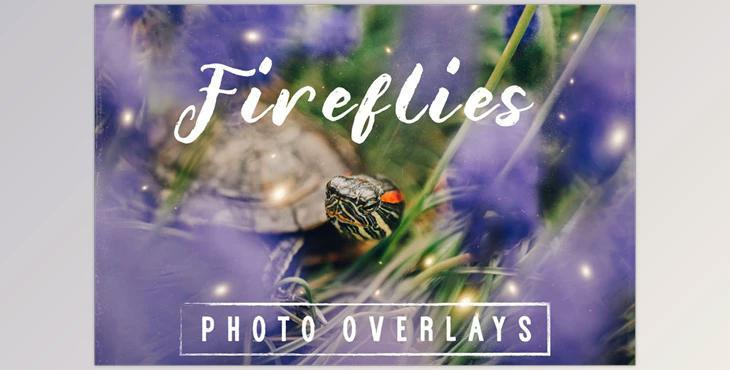 30 Dreamy Firefly Photo Overlays Creativemarket - 5116254