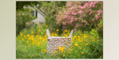 KCC Newborn Digital Backgrounds & Backdrops