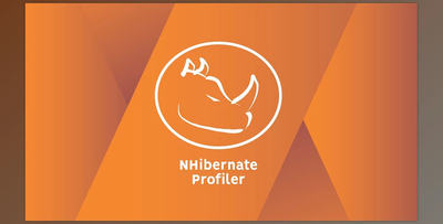 NHibernate Profiler v6.0 Build 6048 (09 Jan 2025) + LicenseKey