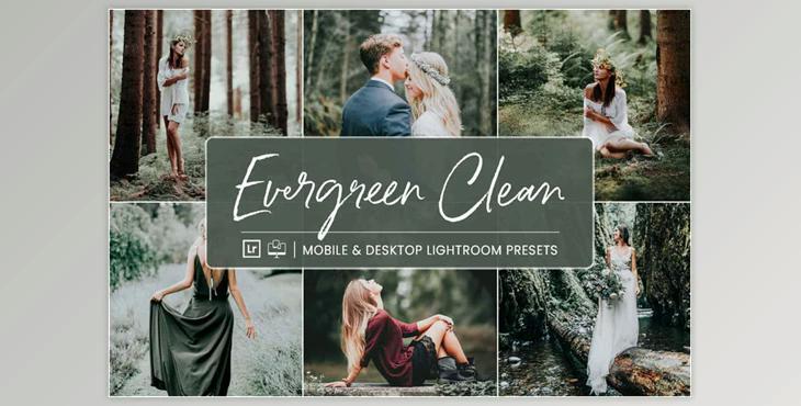 NesPresets – Evergreen Clean