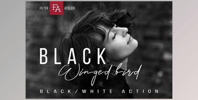 Black Winged Bird – Black & White Photoshop Action G574J4X