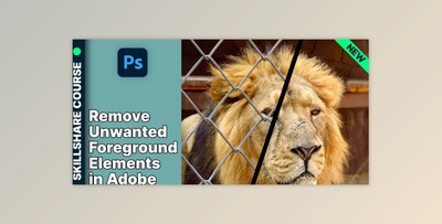 Remove Unwanted Foreground Elements in Adobe Photoshop