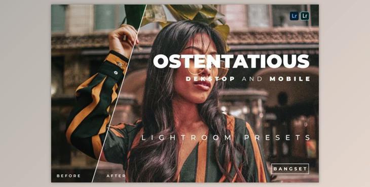 Ostentatious Desktop and Mobile Lightroom Preset by Bangset