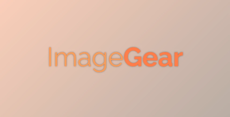 ImageGear for ActiveX v18.2 Professional + CRACK