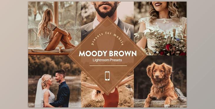 Moody Brown Lightroom Preset CreativeMarket 4593839