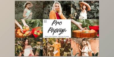14 Pro Papaya Mobile & Lightroom CreativeMarket-5958044