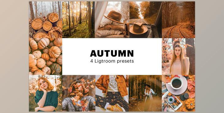 4 Autumn Lightroom Presets CreativeMarket-5627655 (XMP, DNG, PDF, PNG)