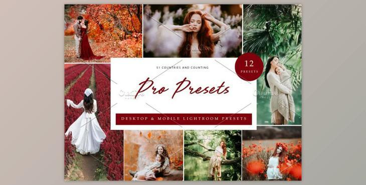 12x Lightroom Presets, Pro Presets By Kzara Visual Concepts (Mob, Desk)