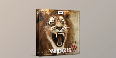 Wildcats - BOOM Library