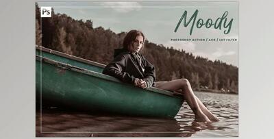 10 Moody Ps Action, ACR, LUT CreativeMarket-5942281 (XMP, ATN)