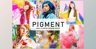 Pigment Pro Lightroom Presets CreativeMarket - 6814487