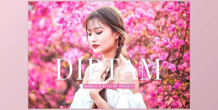 Diptam Pro Lightroom Presets CreativeMarket - 7178684