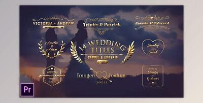 Wedding Titles (Videohive 23793642)