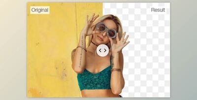 PhotoScissors v9.3.1 (Win)