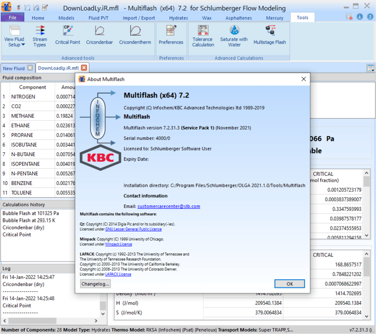 Schlumberger OLGA 2022.1 x64