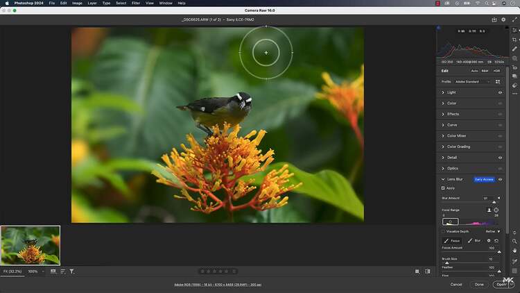 Adobe Camera Raw 17.3.1 Windows/macOS