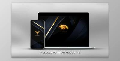 Quick Elegant Luxury Logo (Videohive 25800997)