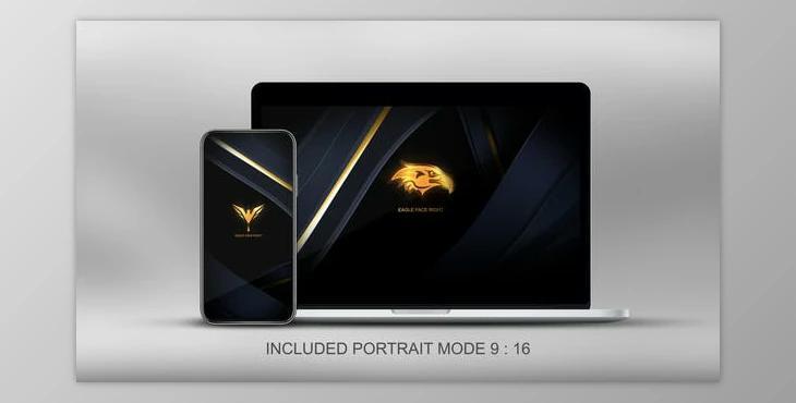 Quick Elegant Luxury Logo (Videohive 25800997)