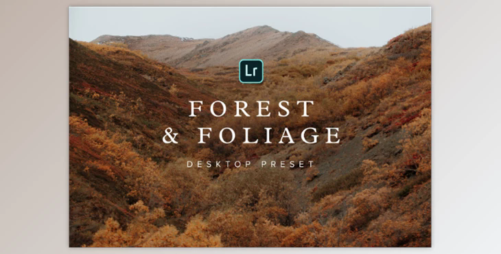 Forest & Foliage Preset – Desktop – Chris Henry Photography
