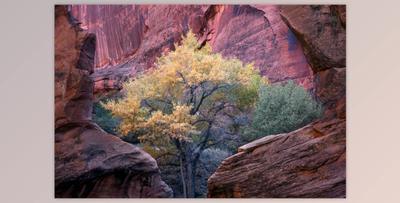 Eric Bennett – Tools of the Trade – Vol. 4 – Post-Processing Techniques