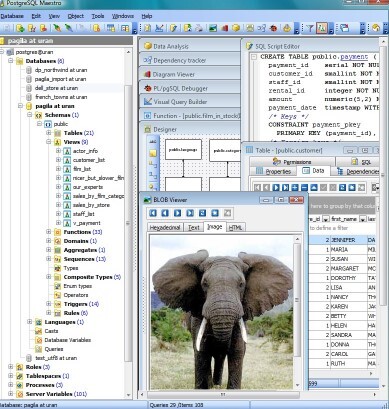 PostgreSQL Maestro 24.9.0.1