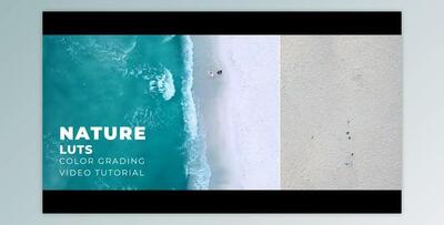 Nature LUTs (Videohive 43420641)