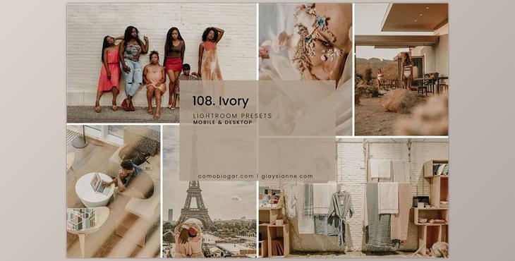 108. Ivory Presets CreativeMarket-5741231 (XMP, DNG, PDF)