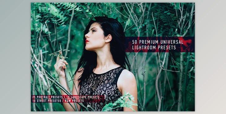 50 Premium Universal Presets By Mongato Goods