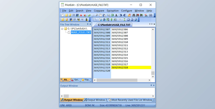 PilotEdit v19.6.0 for Win x86 & x64 Multilingual + Portable Edition + CRACK