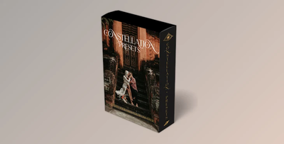 Constellation Presets by Joy Zamora, Wedding Photographer