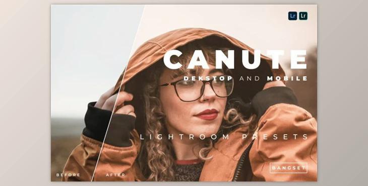 Canute Desktop and Mobile Lightroom Preset by Bangset