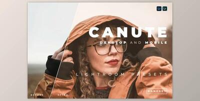 Canute Desktop and Mobile Lightroom Preset by Bangset