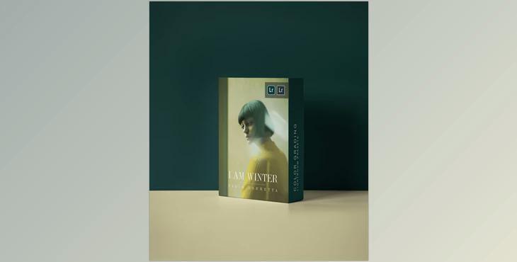 IAMWINTER COLOR GRADING PRESETS