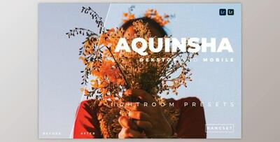 Aquinsha Desktop and Mobile Lightroom Preset by Bangset