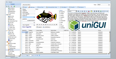 FMSoft uniGUI Complete Professional v1.95.0.1600 + Runtime + Theme Pack + Documentation + CRACK