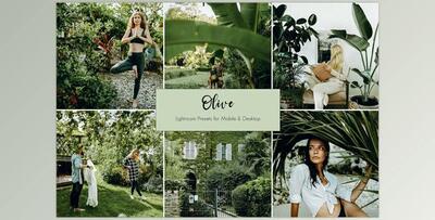 Olive Lightroom Presets CreativeMarket-5441487