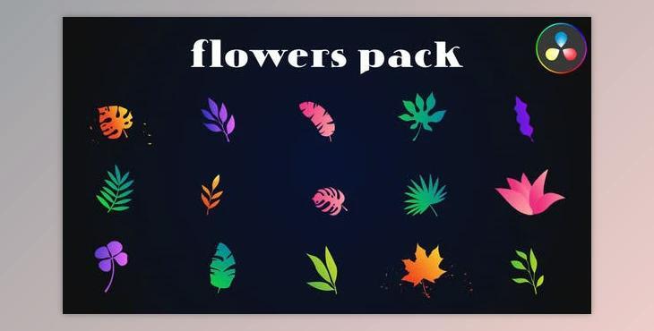 Colorful Flowers Pack for DaVinci Resolve (Videohive 52077308)