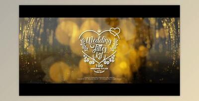 Wedding Titles Kit - 100 Titles (Videohive 19434063) - AE Project