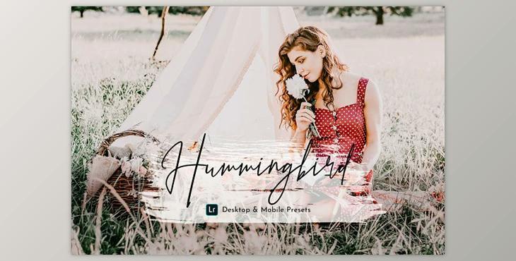 HummingBird Lightroom Presets Pack CreativeMarket - 5469110