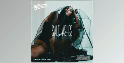 91Vocals Salt Ashes Fierce Dark Pop WAV-FANTASTiC