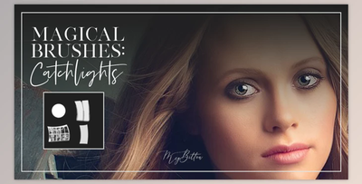 Meg Bitton – CATCHLIGHTS BRUSHES